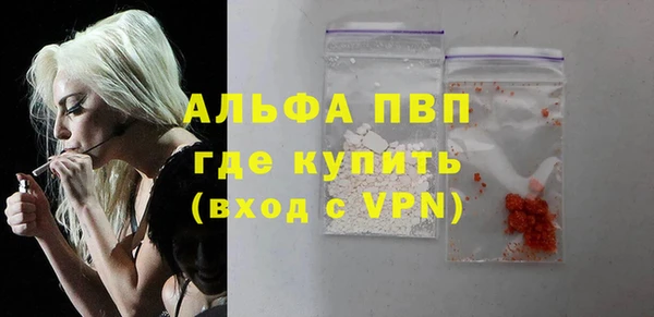 ECSTASY Лагань