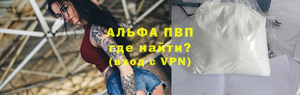 ECSTASY Лагань