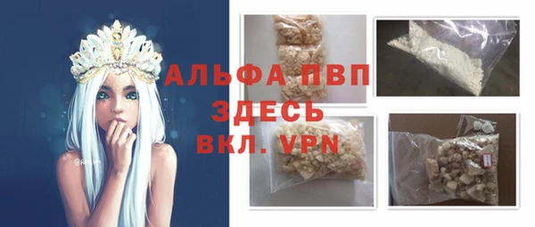 ECSTASY Лагань
