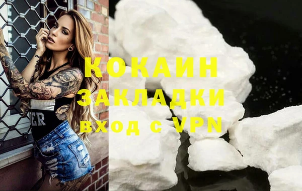 ECSTASY Лагань