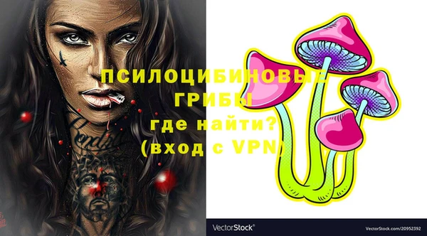 ECSTASY Лагань