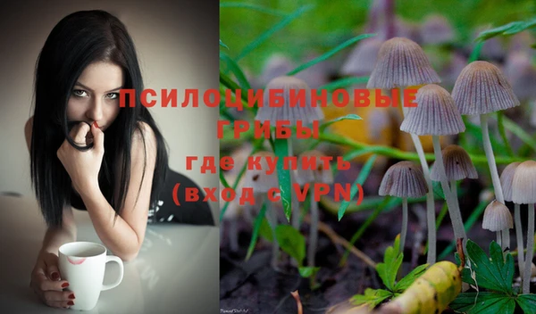 ECSTASY Лагань