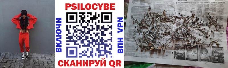KRAKEN рабочий сайт  где купить наркотик  Урюпинск  Псилоцибиновые грибы Psilocybe 